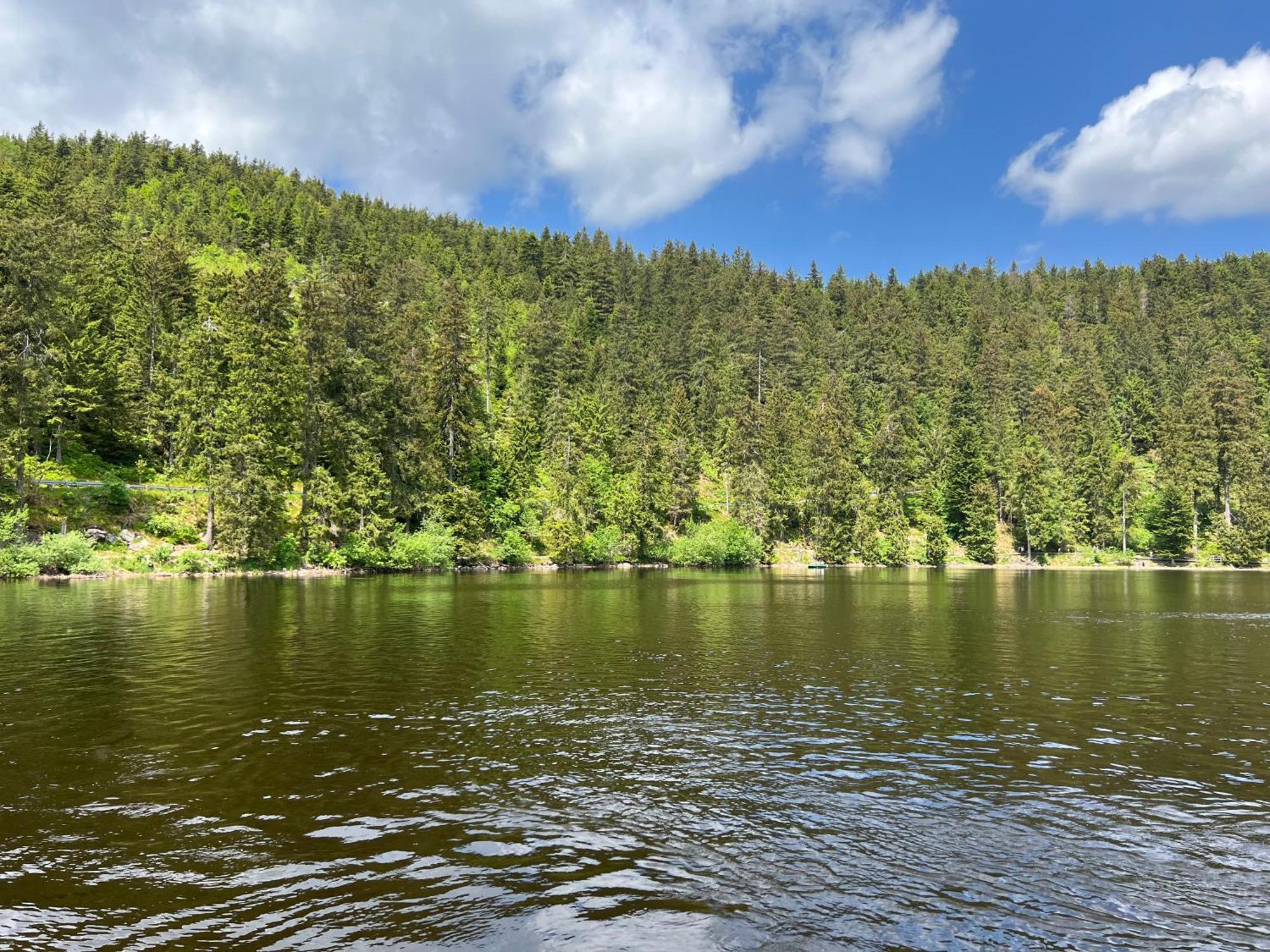 An Wanderwegen Gelegen Mit Terrasse Und Boxspringbett Appartement Sasbachwalden Buitenkant foto